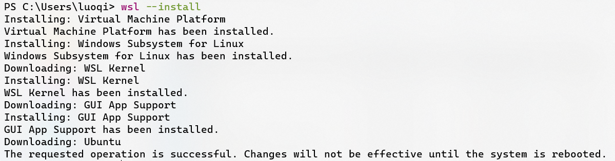 Windows 11使用WSL2进行日常工作测试